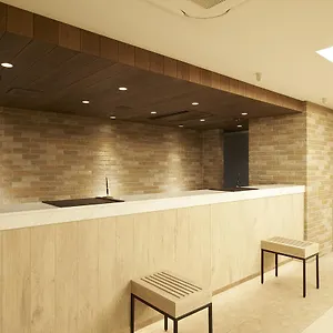 Hotel Sotetsu Fresa Ginza Sanchome, Tóquio